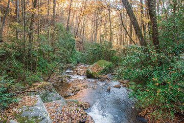 A stream’s flow is its own path—never hurried, always purposeful, always moving forward, Anna Ruby Falls, Helen, Georgia, United States of America