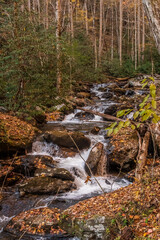 Obraz premium The sound of the stream is a reminder that even in nature's most peaceful moments, power flows beneath the surface, Anna Ruby Falls, Helen, Georgia, United States of America