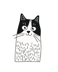 Minimalist white cat with a cute expression, hand-drawn, on a white background