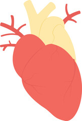 Human heart color icon. Anatomy medical illustration