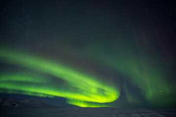 Aurora Boreal en Islandía © Jordi