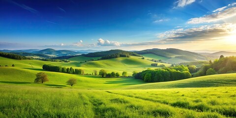 Obraz premium Scenic view of peaceful meadow with shallow depth of field