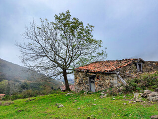 Obraz premium Cabin, woods and mountains, Aller, Asturias, Spain
