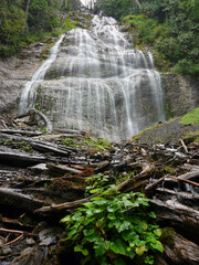 Fototapety na wymiar - Fototapeta24.pl