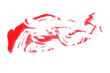 Single red brush stroke on transparent background.