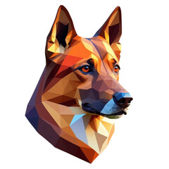 dog brown