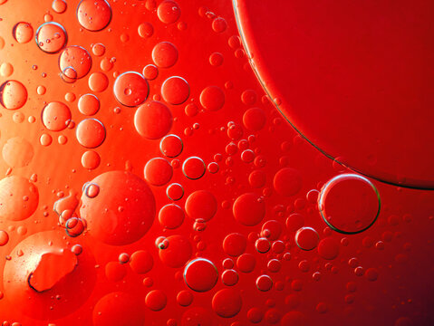 Abstract Background Red oil Macro Colorful artistic of oil drop floating on the water. macro red bubble oil of wallpeper, blood concept