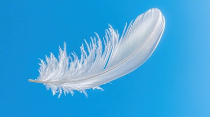 Obraz premium White feather floating gently against bright blue sky background in calm and serene setting