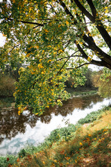 Golden autumn landscape with reflection in the river, Brest Fortress