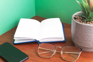 Open notebook with golden glasses and decorative plant on wooden desk against a green wall. Home Office.