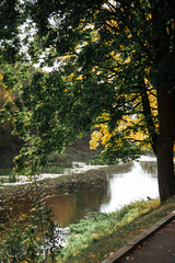 Golden autumn landscape with reflection in the river, Brest Fortress
