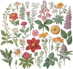 Flowers floral pattern on white background