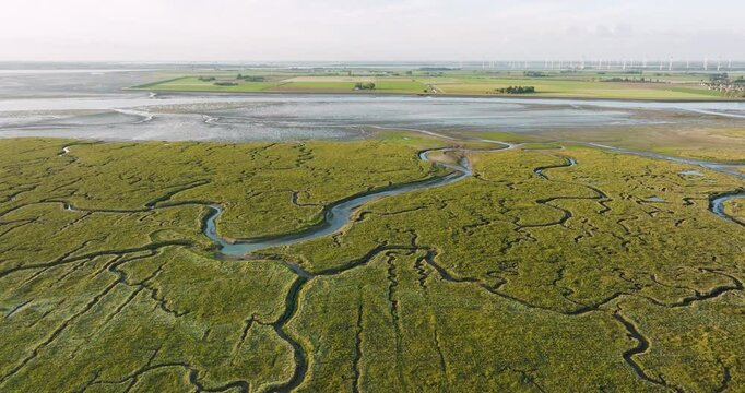 Aerial view of salt marshes Schorren van Sint Annaland and the fairway Krabbenkreek with winding waterways and lush vegetation, Tholen, Netherlands.