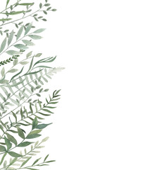 Watercolor floral card. Hand drawn botanical illustration. Art background