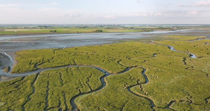 Aerial view of salt marshes and meandering river in a tranquil wetland landscape, Tholen, Netherlands.