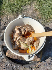 wooden spoon waving in a cauldron dish of meat and bones
