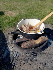 wooden spoon waving in a cauldron dish of meat and bones