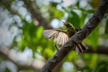 Brown-throated sunbird perching on the branch