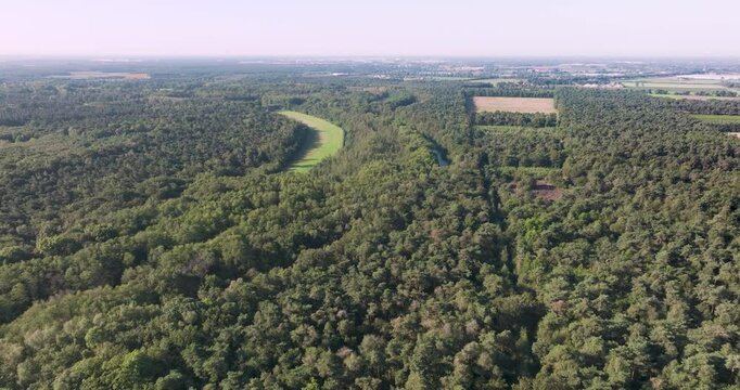 Aerial view of serene swamp forest Schuitwater with brook Broekhuizer Molenbeek, Broekhuizen, Netherlands.