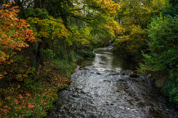 Herbst am Fluß