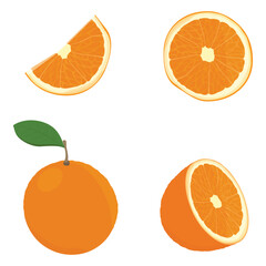 Fresh ripe orange fruit set. Citrus fruit vector illustration