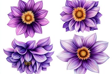 Obraz premium Purple Dahlia Flower Petals Watercolor Illustration, floral, botanical