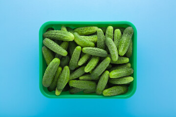 Full plastic container with fresh green short small cucumbers on light blue table background. Pastel color. Closeup. Top down view.
