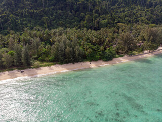A serene beach lined with lush greenery and clear turquoise waters.