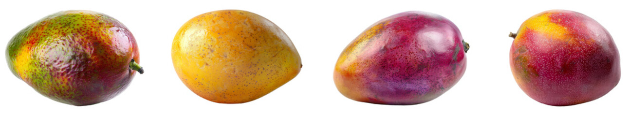 Fototapeta premium Varieties of ripe mangoes. Set of png on transparent background