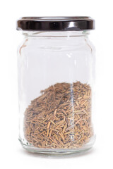 Rosemary Seasoning in a Small Glass Jar Isolated on White Background