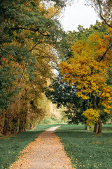 Golden autumn, landscape in the autumn park, Brest Fortress