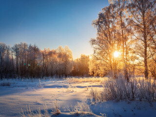 Naklejka premium sunset in a frozen landscape
