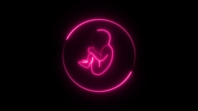 Human embryonic and fontal development. Glowing neon human fetus inside the womb. Red color Human anatomy baby concept. Pregnancy fetal fetus development icon.