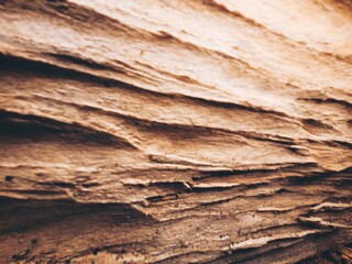 Holz, Holzstämme, Wald, Düsseldorf