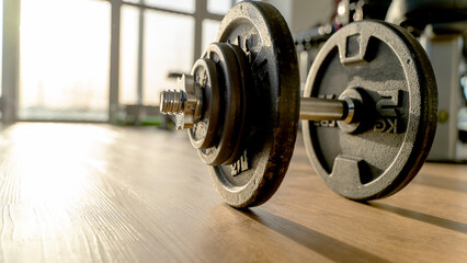 dumbbell or barbell in the gym