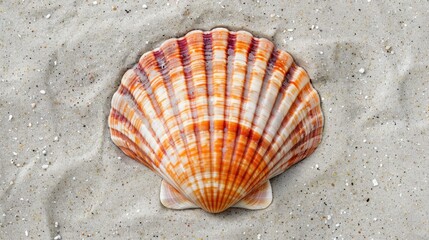 Abstract depiction of a nautilus shell, focusing on its intricate geometric design. The shell's natural swirl is a stunning visual element in this art piece.