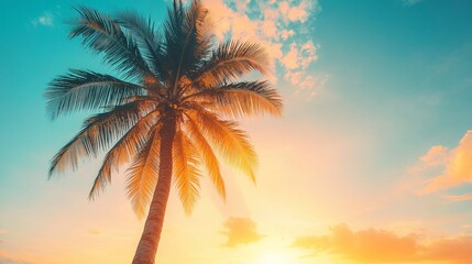 Majestic palm tree silhouette against a vibrant sunset sky, with golden sunlight filtering through fronds, creating a tropical paradise ambiance on a serene beach.
