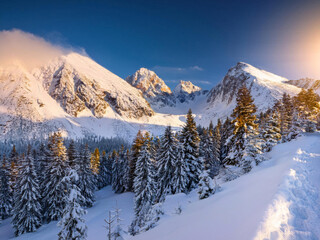 Fototapeta premium snow covered mountain