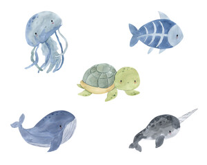 Watercolor jellyfish, narwhal, whale, turtle, x-ray fish illustration for kids © Olga Listopad