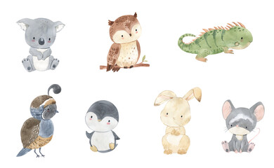 Watercolor koala, owl, lizard, penguin, hare, mouse, quail  illustration for kids