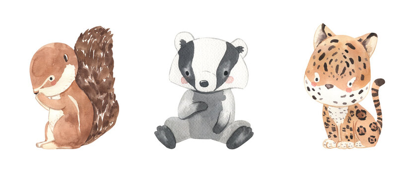 Watercolor dachs, jaguar, xerus  illustration for kids