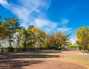  Landscape of the public park of the city of Khabarovsk. Golden autumn.