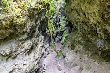 Narrow ravines called Canoles on the Larzac plateau. Aveyron. Occitanie. France.