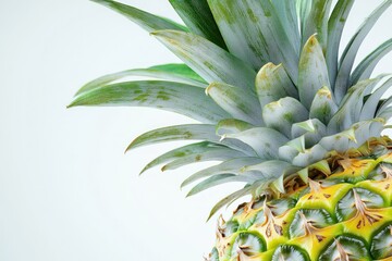 Fototapeta premium Fresh Pineapple on a White Background
