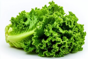 Fresh Vibrant Green Lettuce Head Isolated on White Background