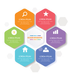 hexagon infographic template elegant symmetric geometric