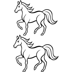 Black and white style horse