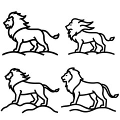 A black and white  lion