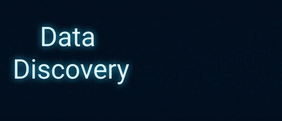 Data discovery is the process of identifying, understanding, and analyzing data from various sources to uncover patterns, trends, and insights that can inform decision-making