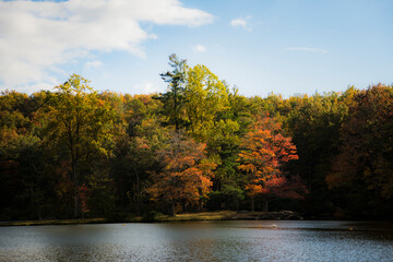 View of serene Sherando Lake surrounded by colorful autumn foliage and tranquil forest, Virginia, United States.